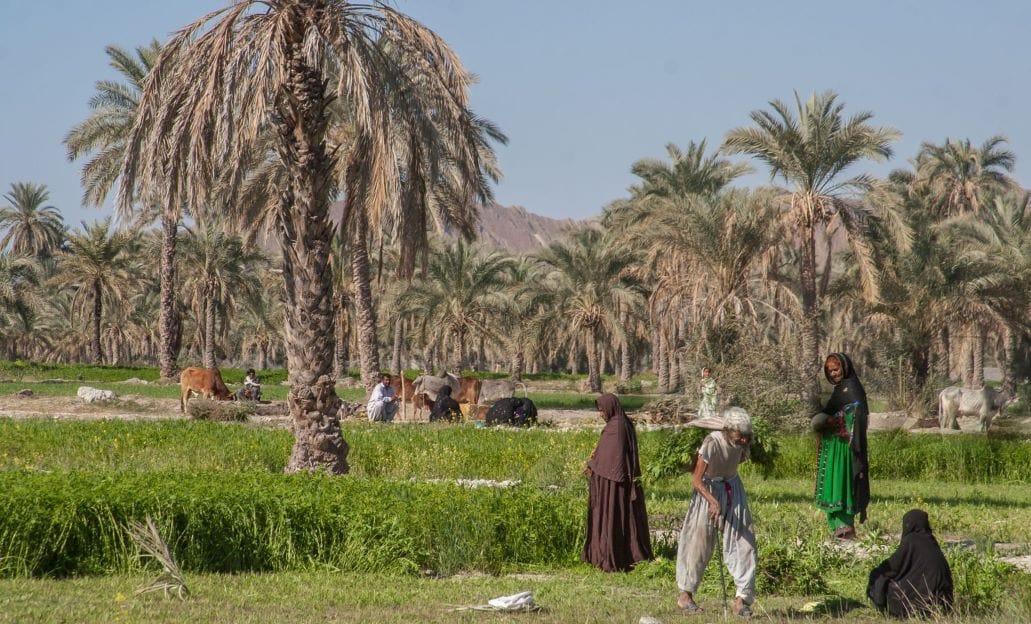 زمین مال کیست؟